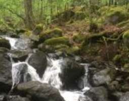 Rissla waterfall and forest trail at Fiskars ...
