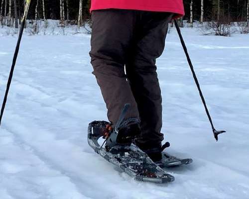 Snowshoeing adventure in Lapland’s snowy land...