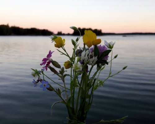 Top 15 Helsinki outdoor sights for Midsummer