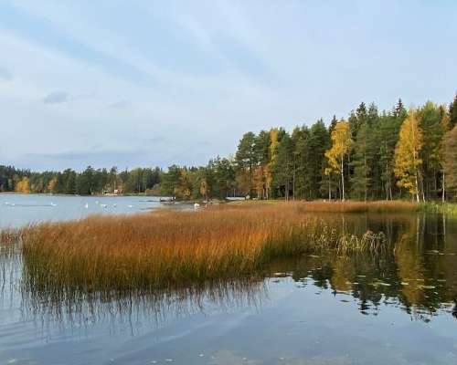 Walking around spectacular Littoistenjärvi in...