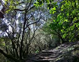 La Gomera – Kanarian luontomatkailutaivas