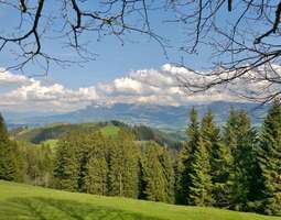 Viiden tähden retkijuomitus Sveitsin Emmentalissa