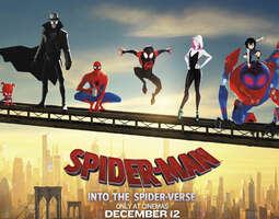 Spider-Man: Into the Spider-Verse – Spider-Ma...