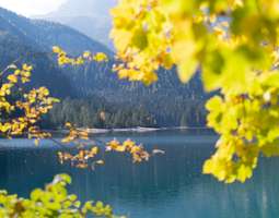 Lago di Tovel – kirkasta vettä ja syksyn väre...