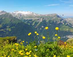 Muhkea vuorikolmikko: Eiger, Mönch ja Jungfrau