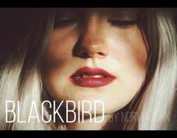 Blackbird - cover by norma john