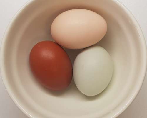 8 hyvää syytä syödä kananmunia