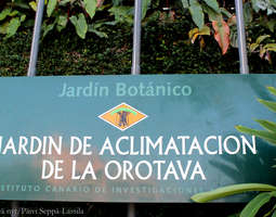 Melkein kuin viidakossa ‒ Jardín Botánico