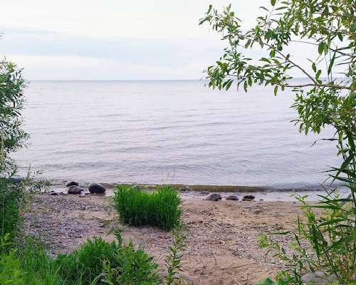 Viron-matka jatkui Peipsi-järven rantaan