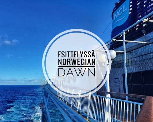 Esittely ja kokemuksia: Norwegian Cruise Line...