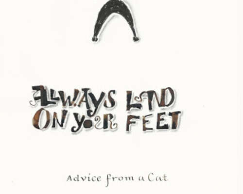Alvays land on your feet - Advice from a Cat