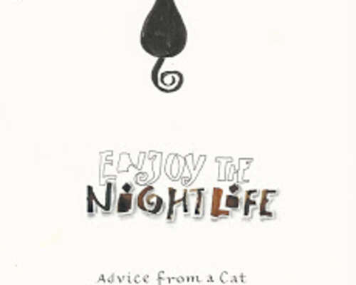 Enjoy the Nightlife - Advice from a Cat