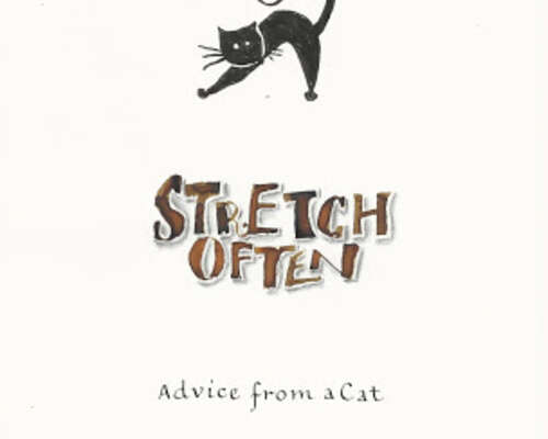 Stretch often - Advice from a Cat