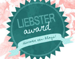 Liebster Award ja 11 kysymystä matkustamisesta