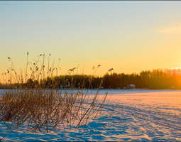 Aurinkoinen pakkaspäivä Pohjois-Karjalassa