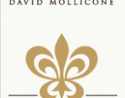 David Mollicone - Ranskassa ranskalaista