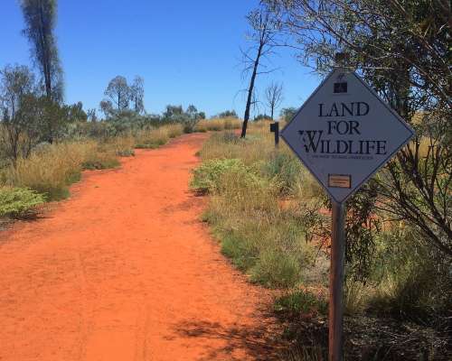 Uluru & Alice Springs – tarpomista punaisella...