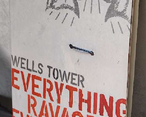 Wells Tower: Everything Ravaged, Everything Burned
