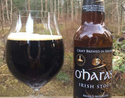 O'Hara's Irish Stout