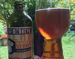 Polar Monkeys White Collar Golden Ale