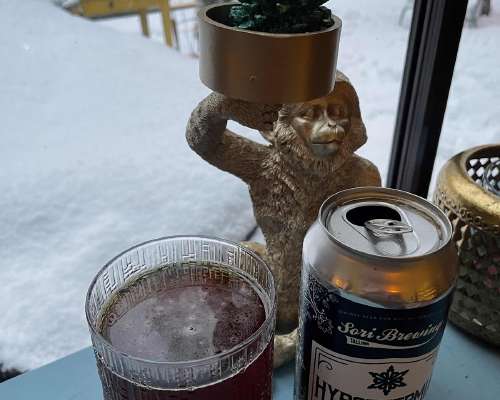 Sori Hypothermia Nordic Rye Ale