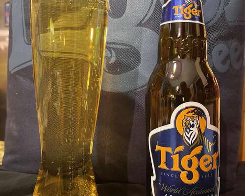 Tiger World Acclaimed Asian Lager