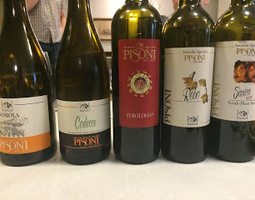 Pisonin viinejä Trentinosta Tampereella