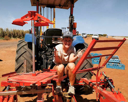 Australia, wentworth: farmityötä ja elämää wo...