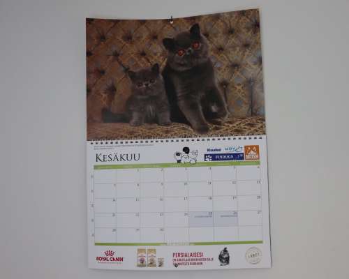 Kissa-aiheiset kalenterit