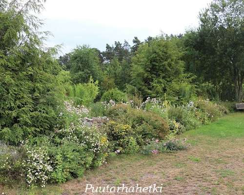 Puutarhavierailulla: Botanischer Garten Melle...