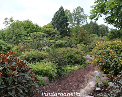 Puutarhavierailulla: Botanisk Have, Kööpenham...