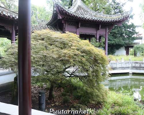 Puutarhavierailulla: Chinese Garden, Frankfur...