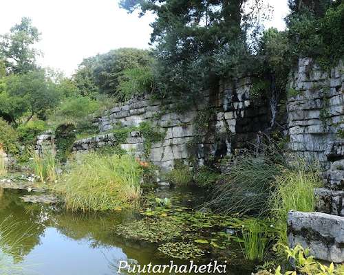 Puutarhavierailulla: Jardin Botanique, Lausan...