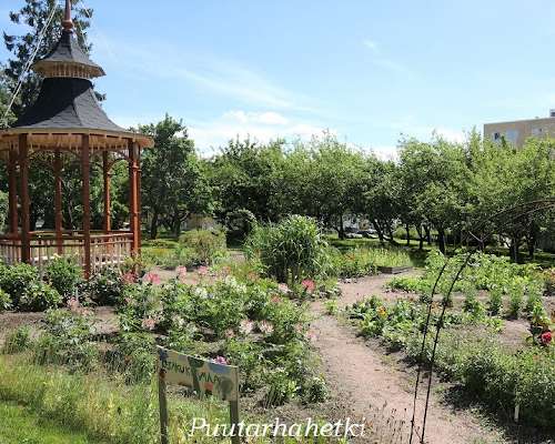 Puutarhavierailulla: Seminaarin puutarha, Rauma