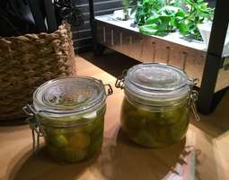 Vihreät tomaatit lasipurkissa