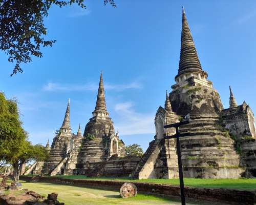 Ayutthayan temppelien raunioilla
