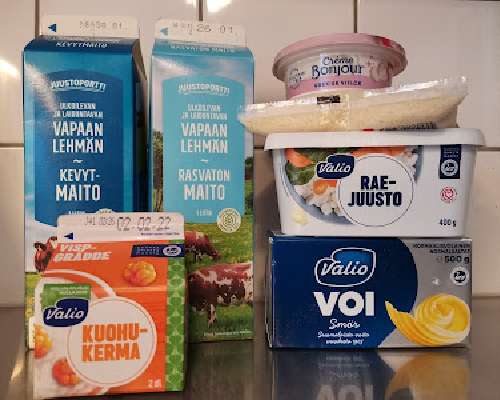 Dairy products in Finnish