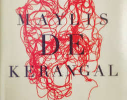 Maylis de Kerangal: Haudataan kuolleet, paikk...
