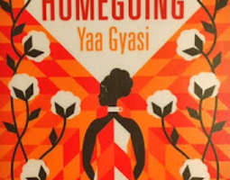 Yaa Gyasi: Homegoing
