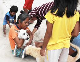 Puppy Puddle Siargao – parempi elämä Filippii...