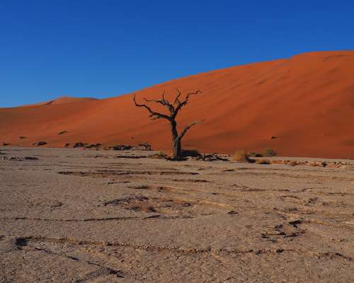 Namibia - Sesriem ja Solitaire