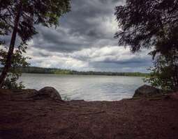 Bodom järvi