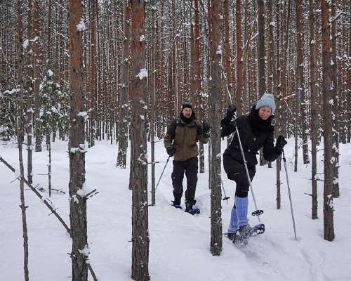 Lumikengillä Valkmusan kansallispuistossa