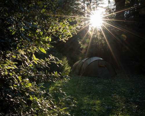Vuoden ensimmäinen telttaretki punapuiden kat...