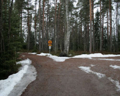 Liesjärven kansallispuisto - Hyypiön reitti (2)