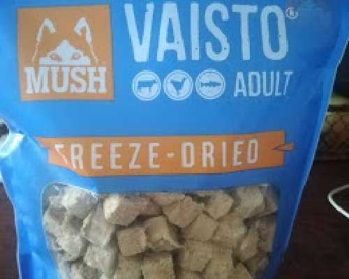Mush vaisto Freeze-Dried