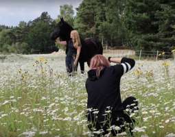 Vlog: Photoshoot Hestafoton kanssa, behind th...