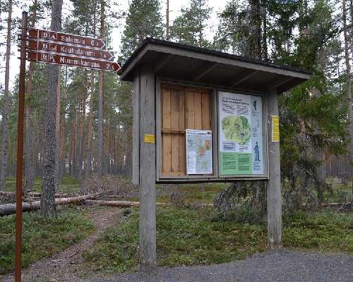 Colliet Kauhaneva-Pohjankankaan kansallispuistossa
