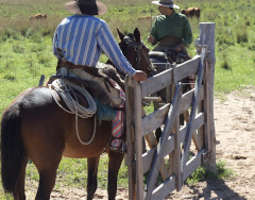 Gaucho-karjapaimenen arkipäivä Argentiinassa