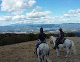 Ranskan Provence: ratsastusvaellus maisemista...